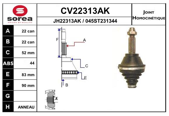 CV22313AK