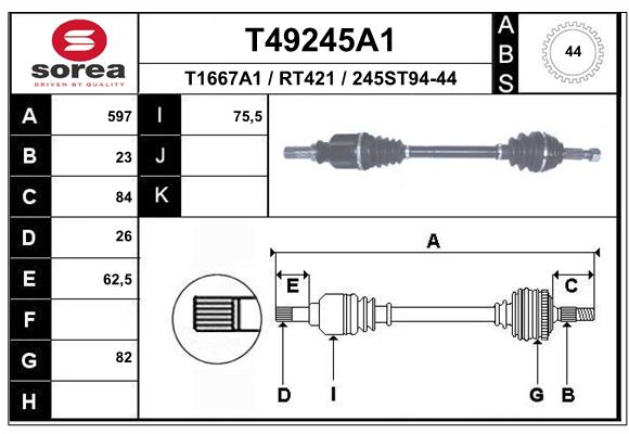 T49245A1