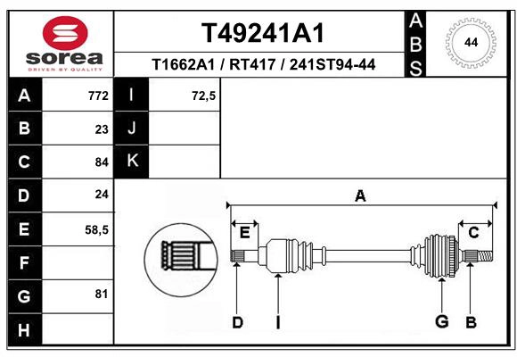 T49241A1