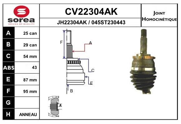 CV22304AK