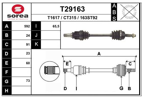 T29163