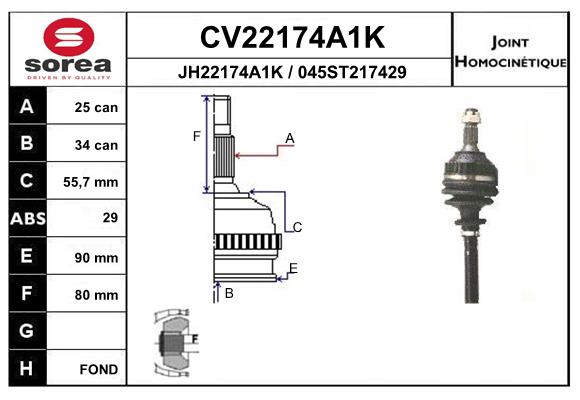CV22174A1K
