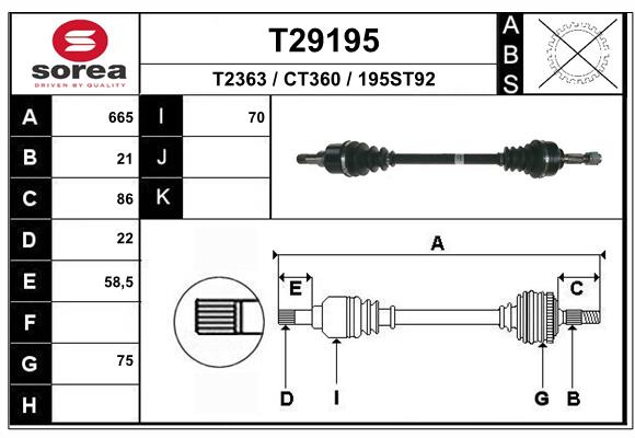 T29195