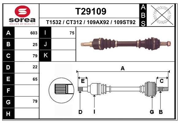 T29109