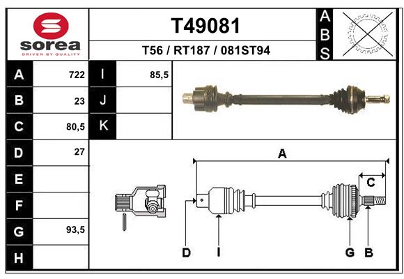 T49081