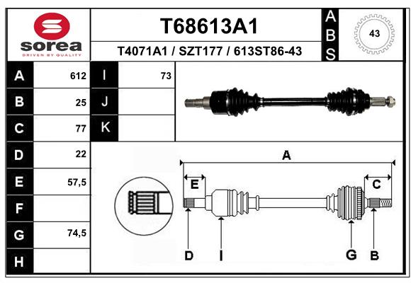 T68613A1
