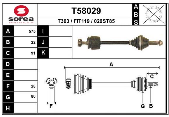 T58029