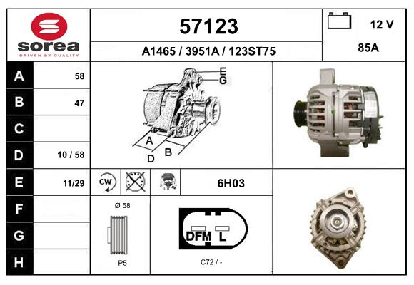 57123