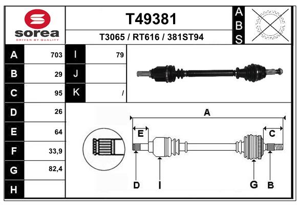 T49381