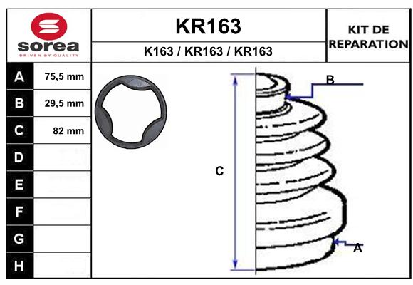 KR163