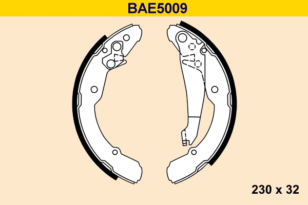 BAE5009