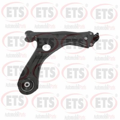 31.TC.669