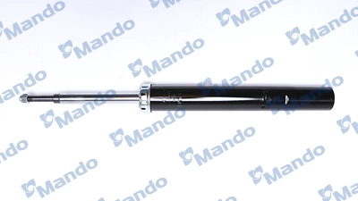 MSS016308