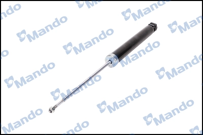 MSS021000