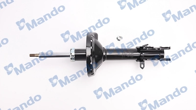 MSS016250