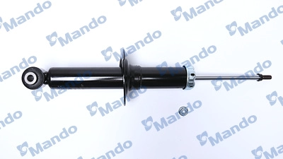 MSS015605
