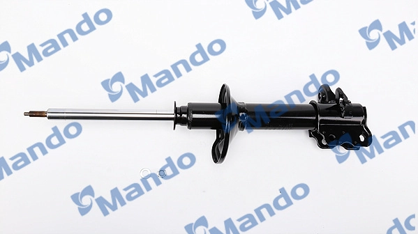 MSS015855