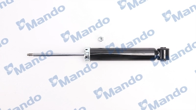 MSS016969