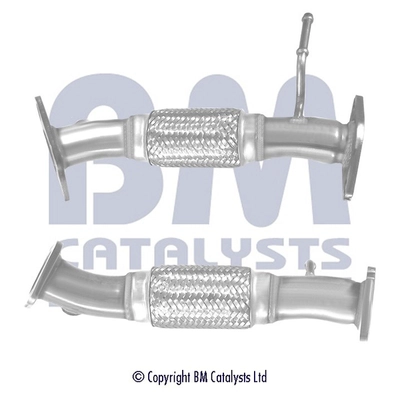 BM50479