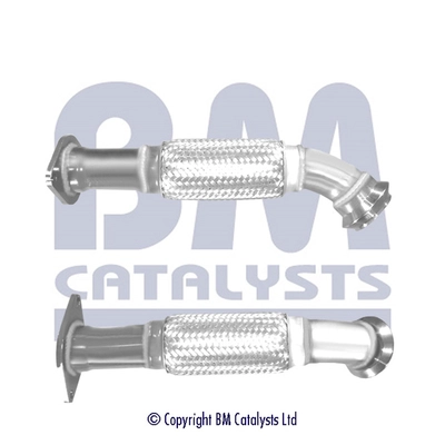 BM50569