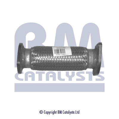 BM50209
