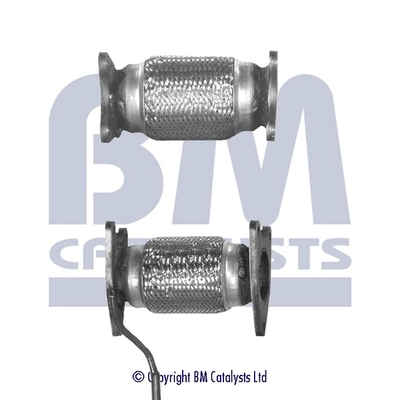 BM50029