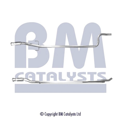 BM50119