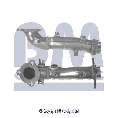 BM50219
