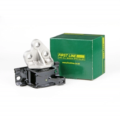 FEM3929