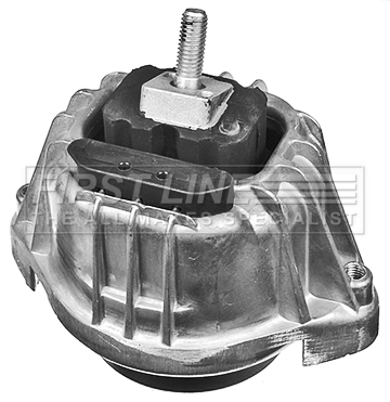 FEM4124
