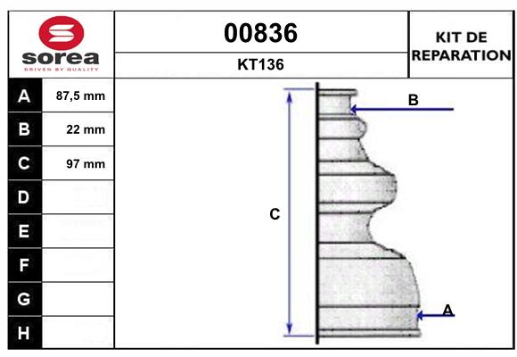 95653906