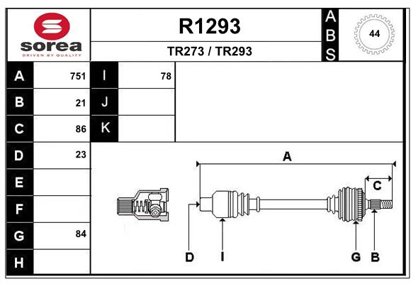 R1293