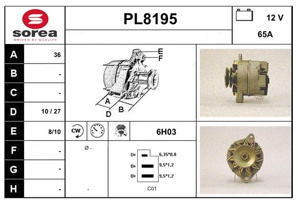 PL8195