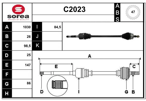 C2023