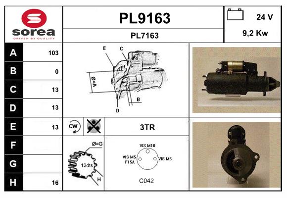 PL9163