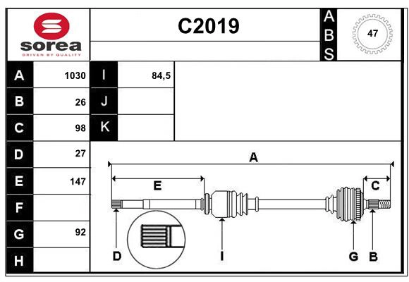 C2019