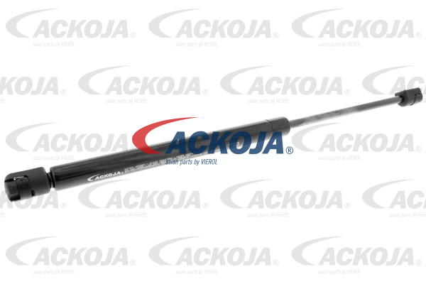 A53-0038