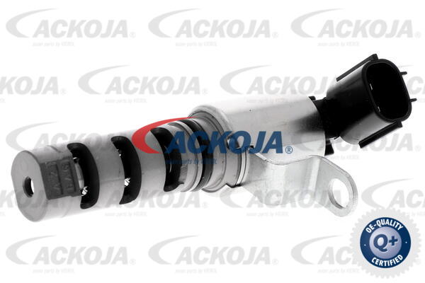 A70-0354