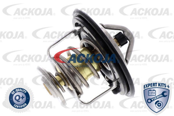 A26-99-0010