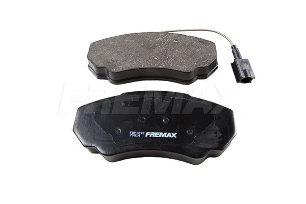 FBP-1293