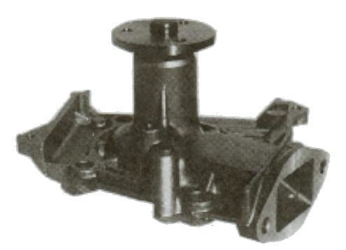 CMZ21008