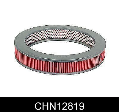 CHN12819