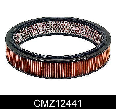 CMZ12441