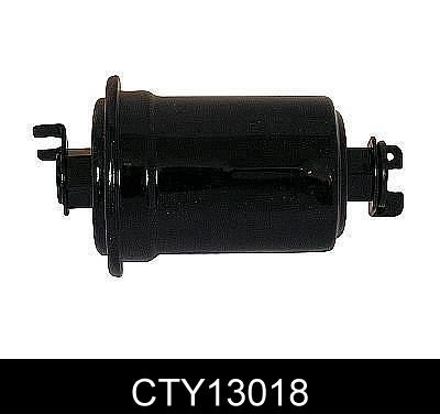 CTY13018