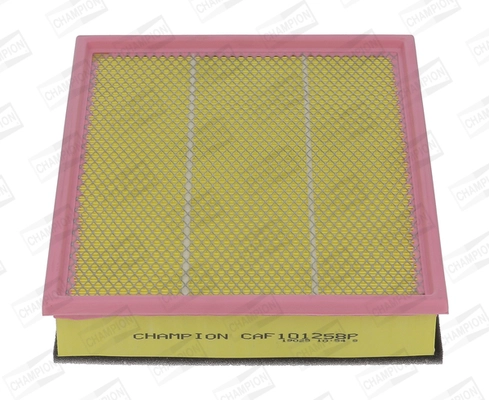 CAF101258P