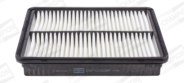 CAF101028P