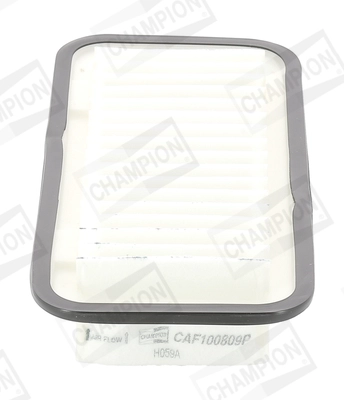 CAF100809P