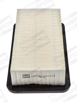 CAF101085P