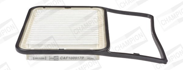 CAF100917P