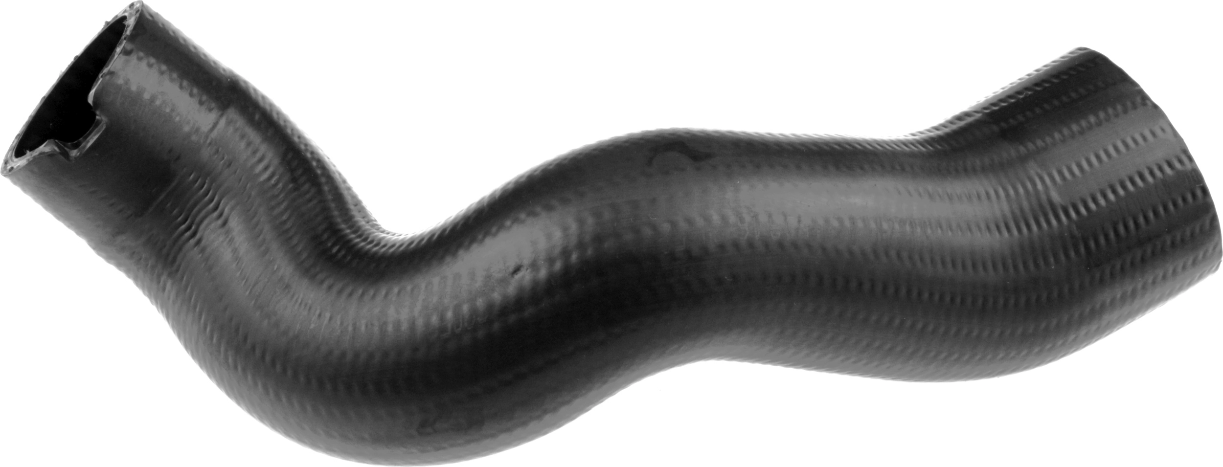 R18561